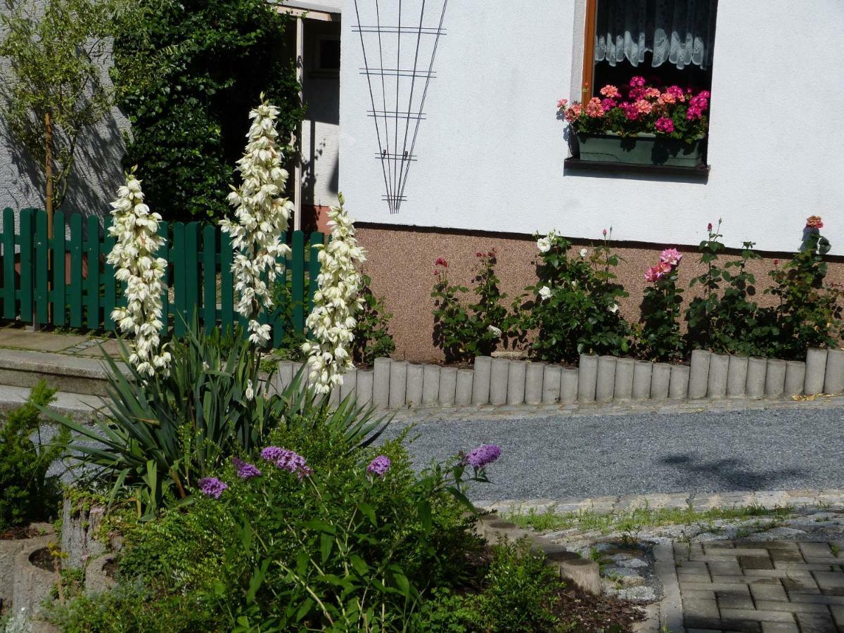 Pension Johannistal Sebnitz Exterior photo