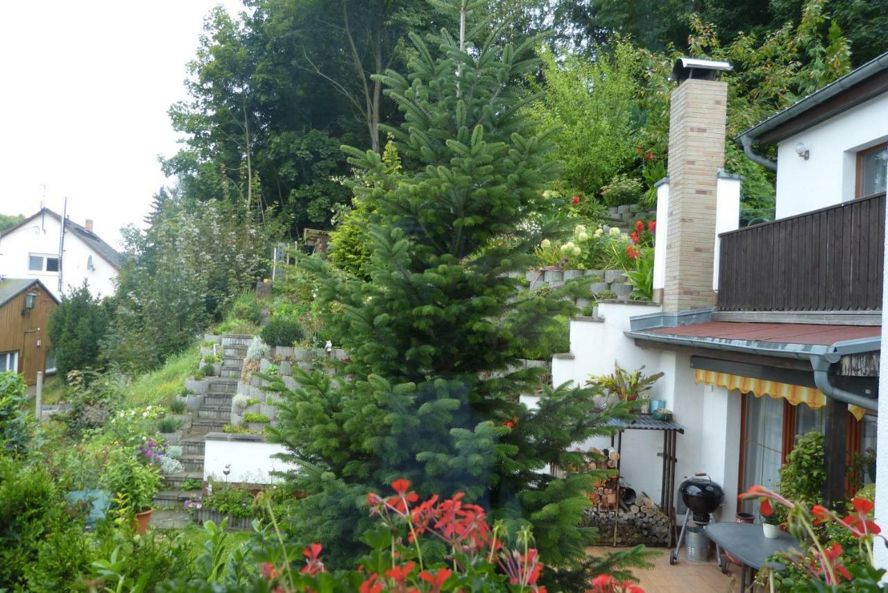 Pension Johannistal Sebnitz Exterior photo